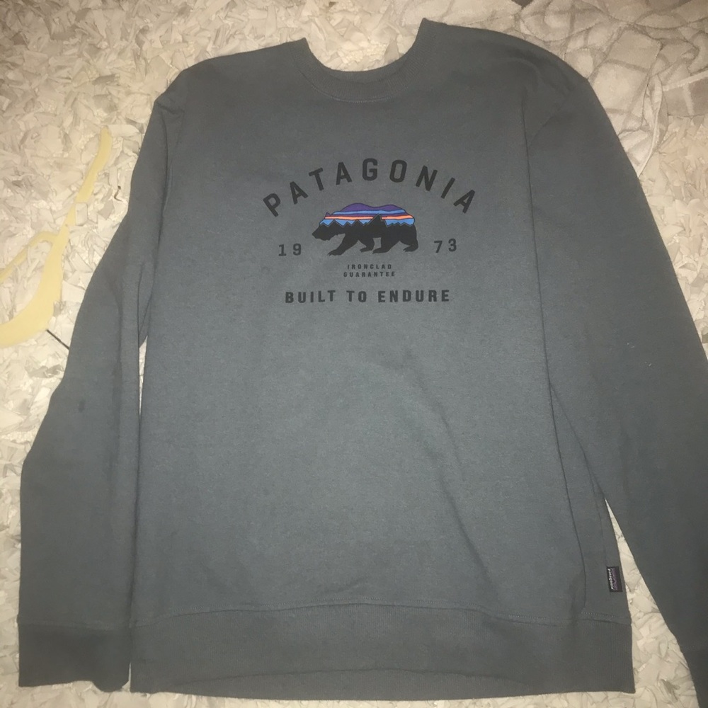 Patagonia sweatshirt